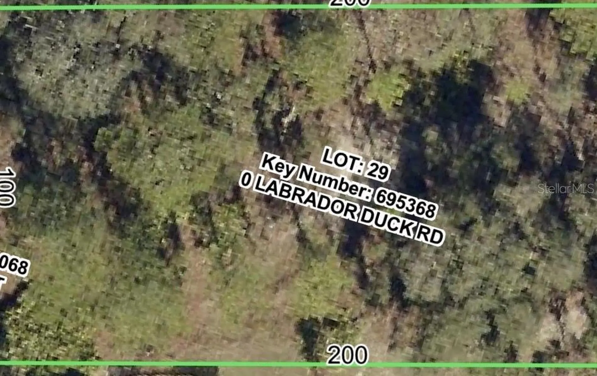 Labrador Duck Road Weeki Wachee FL 34614