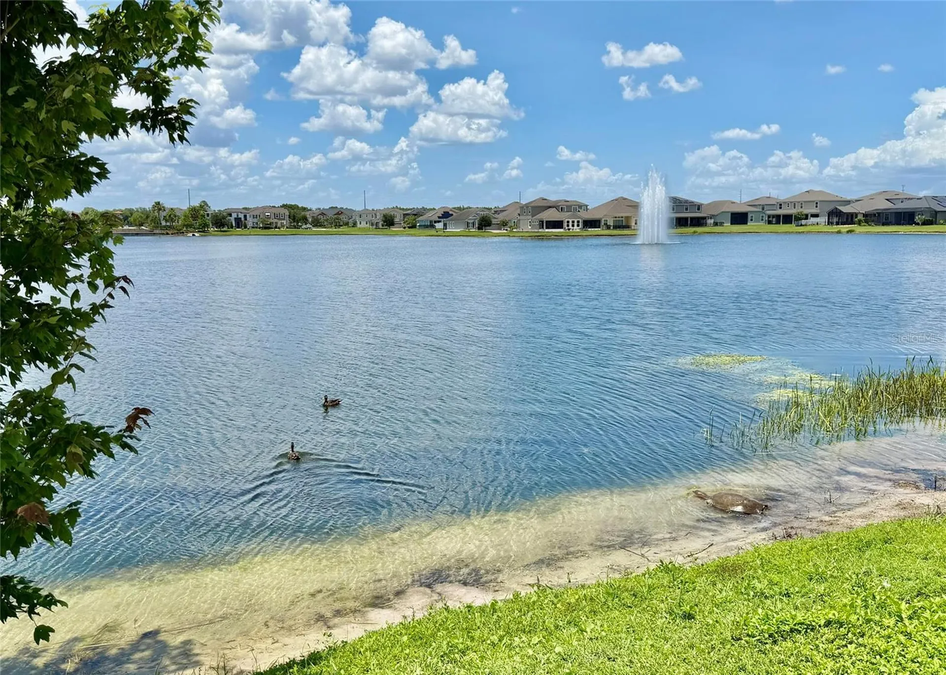 2465 Annacella Avenue Kissimmee FL 34741
