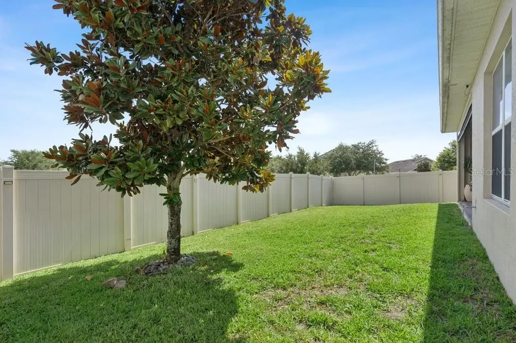 15725 Sweet Limetta Drive Winter Garden FL 34787