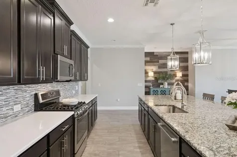 15725 Sweet Limetta Drive Winter Garden FL 34787