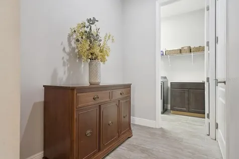 15725 Sweet Limetta Drive Winter Garden FL 34787