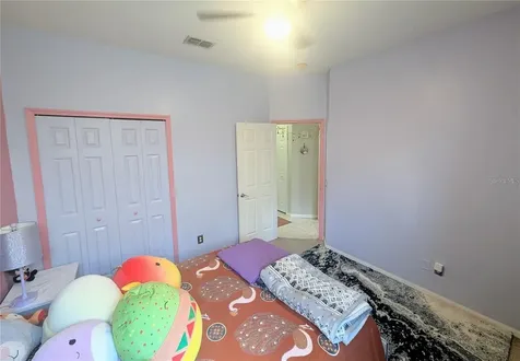 11236 Blacksmith Drive Tampa FL 33626