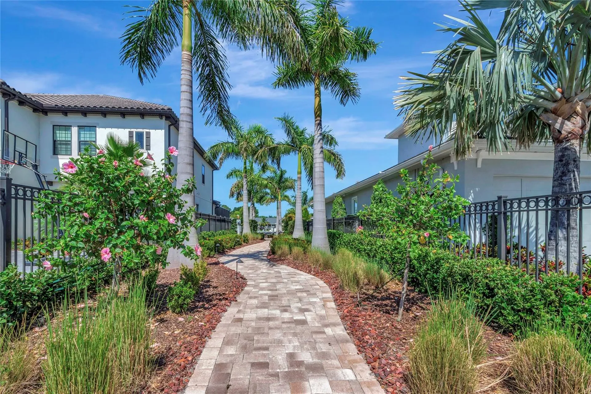 4063 Rocky Shores Drive Tampa FL 33634