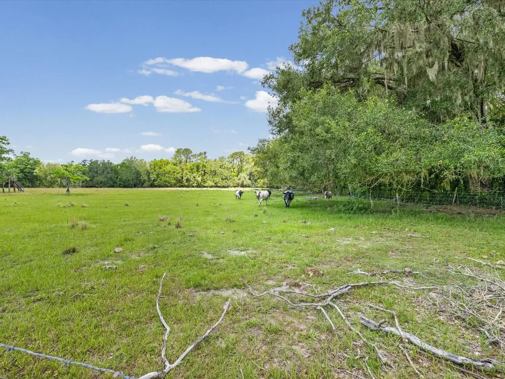 6413 Emerson Road Brooksville FL 34601