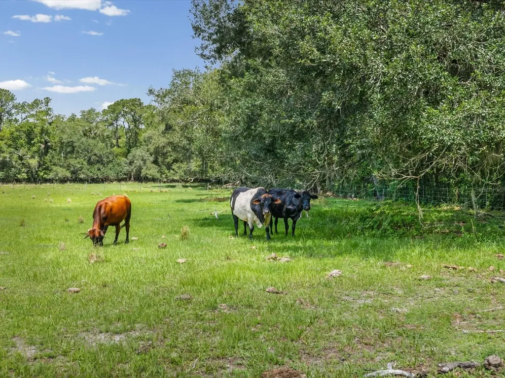 6413 Emerson Road Brooksville FL 34601