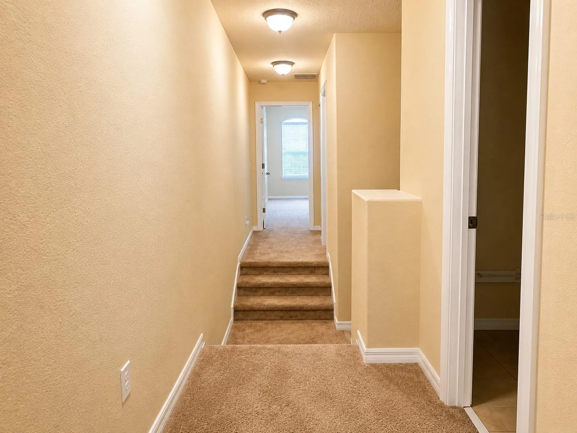 9551 Silver Buttonwood Street Orlando FL 32832