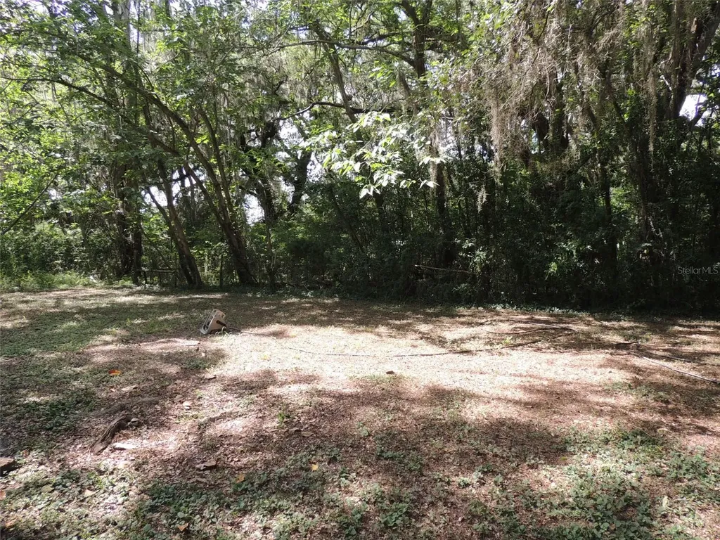 1146 NE 2nd Place Williston FL 32696