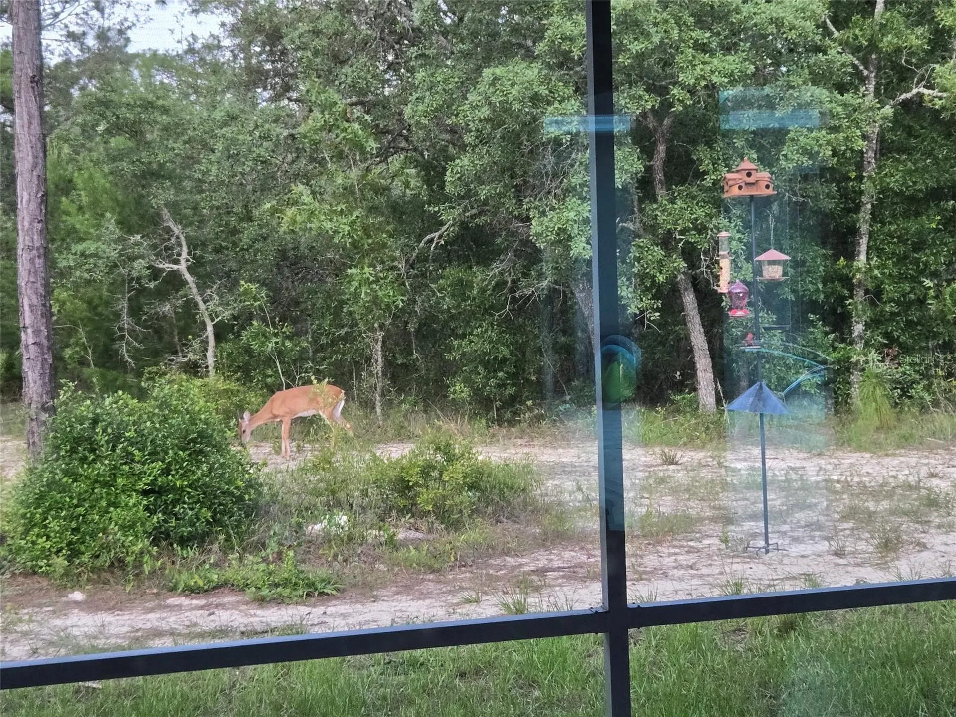 14610 Hidden Deer Trail Brooksville FL 34614