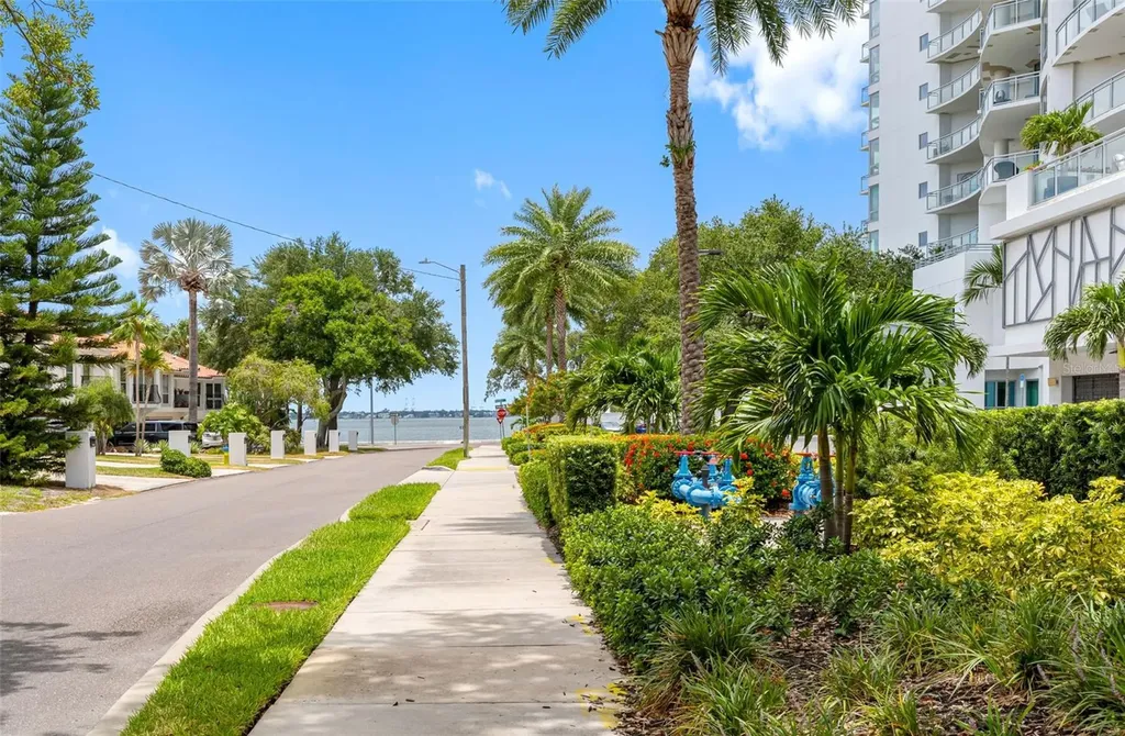 3420 S Carter Street Tampa FL 33629