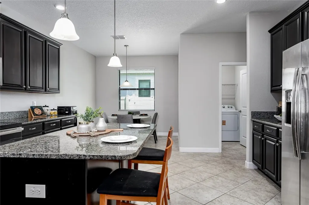 10009 Celtic Ash Drive Ruskin FL 33573