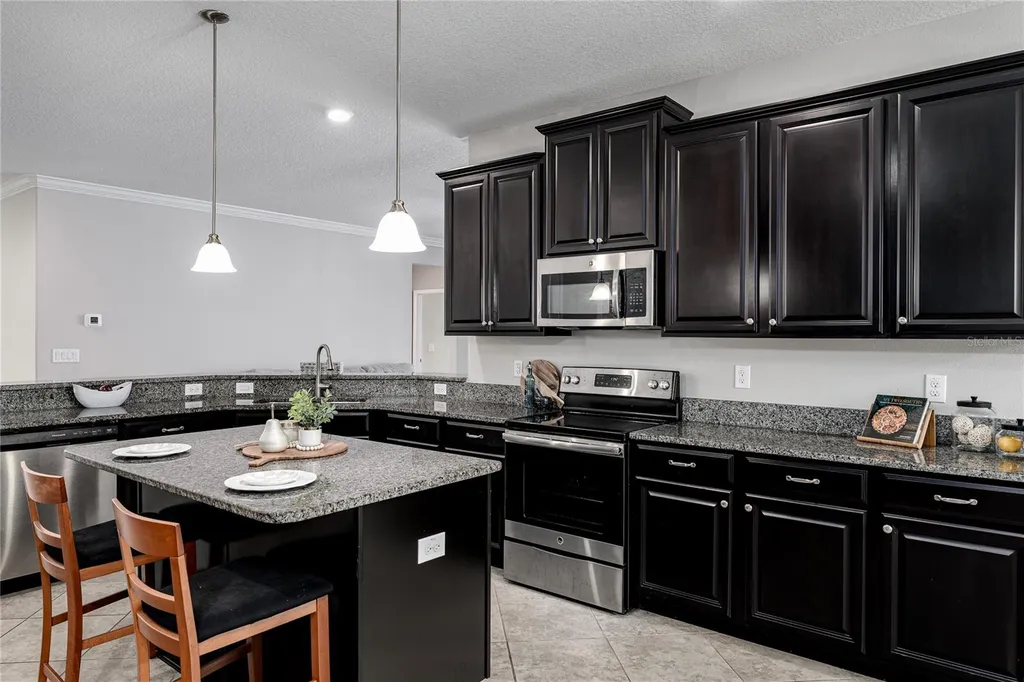 10009 Celtic Ash Drive Ruskin FL 33573