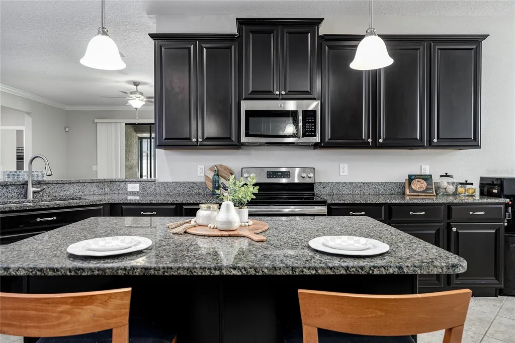 10009 Celtic Ash Drive Ruskin FL 33573