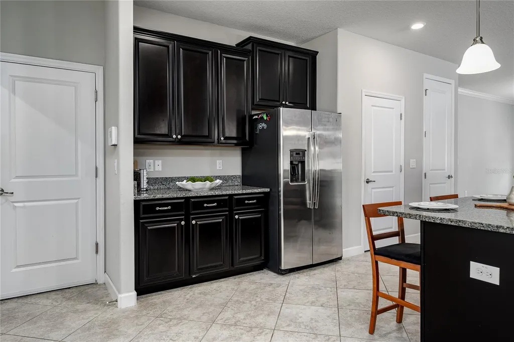 10009 Celtic Ash Drive Ruskin FL 33573