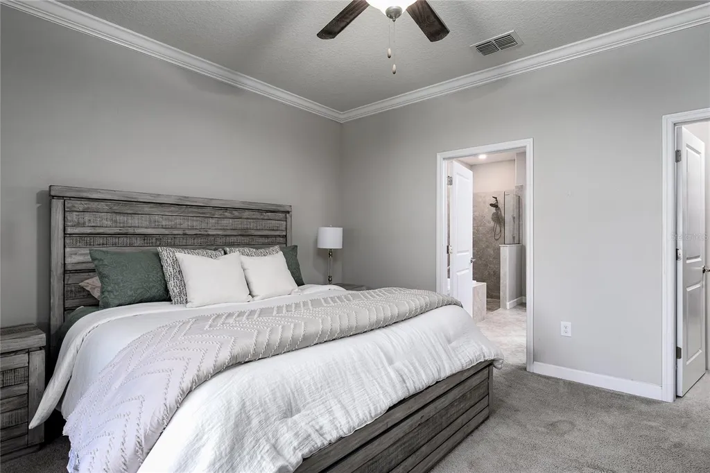 10009 Celtic Ash Drive Ruskin FL 33573