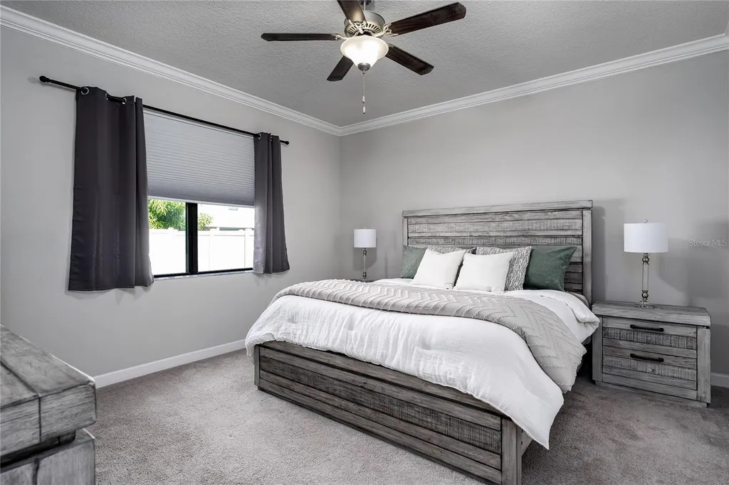 10009 Celtic Ash Drive Ruskin FL 33573
