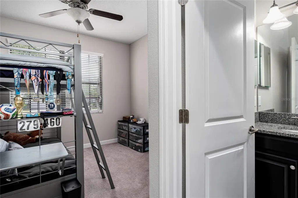 10009 Celtic Ash Drive Ruskin FL 33573