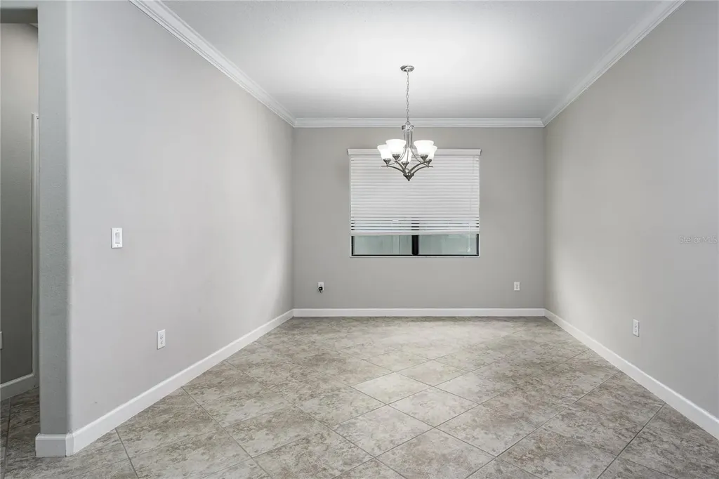 10009 Celtic Ash Drive Ruskin FL 33573