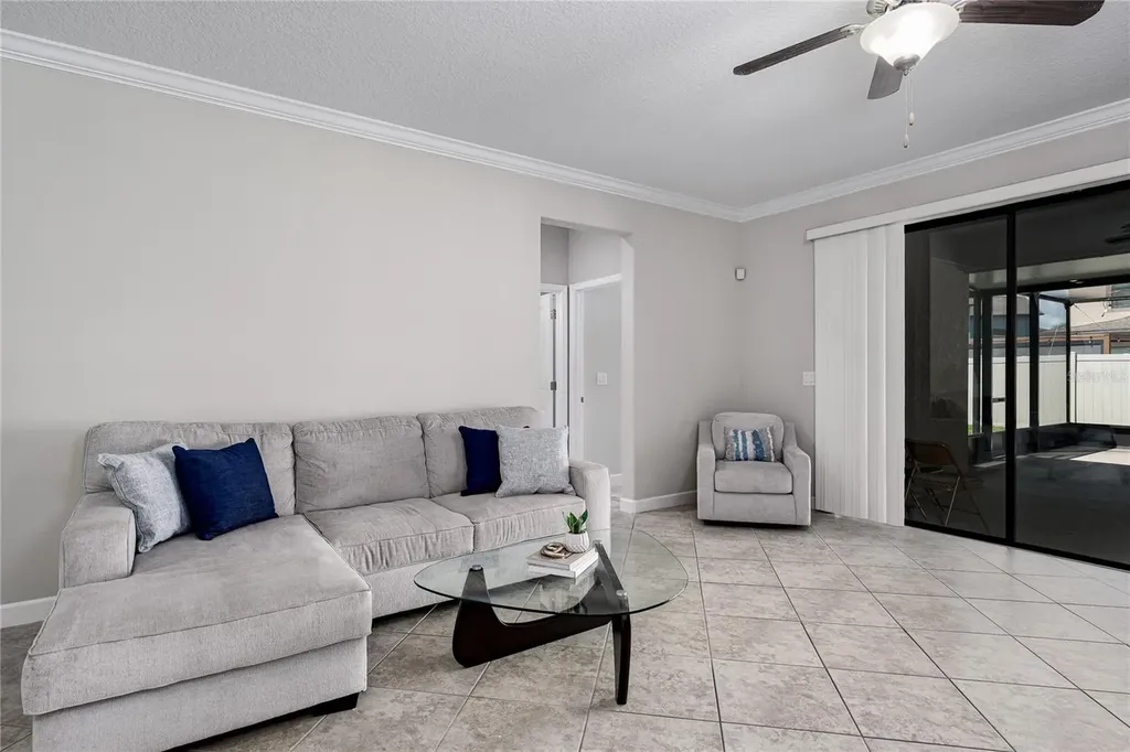 10009 Celtic Ash Drive Ruskin FL 33573