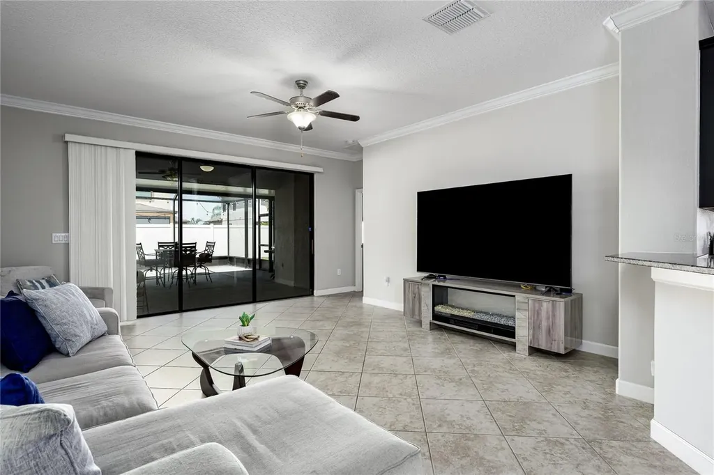 10009 Celtic Ash Drive Ruskin FL 33573