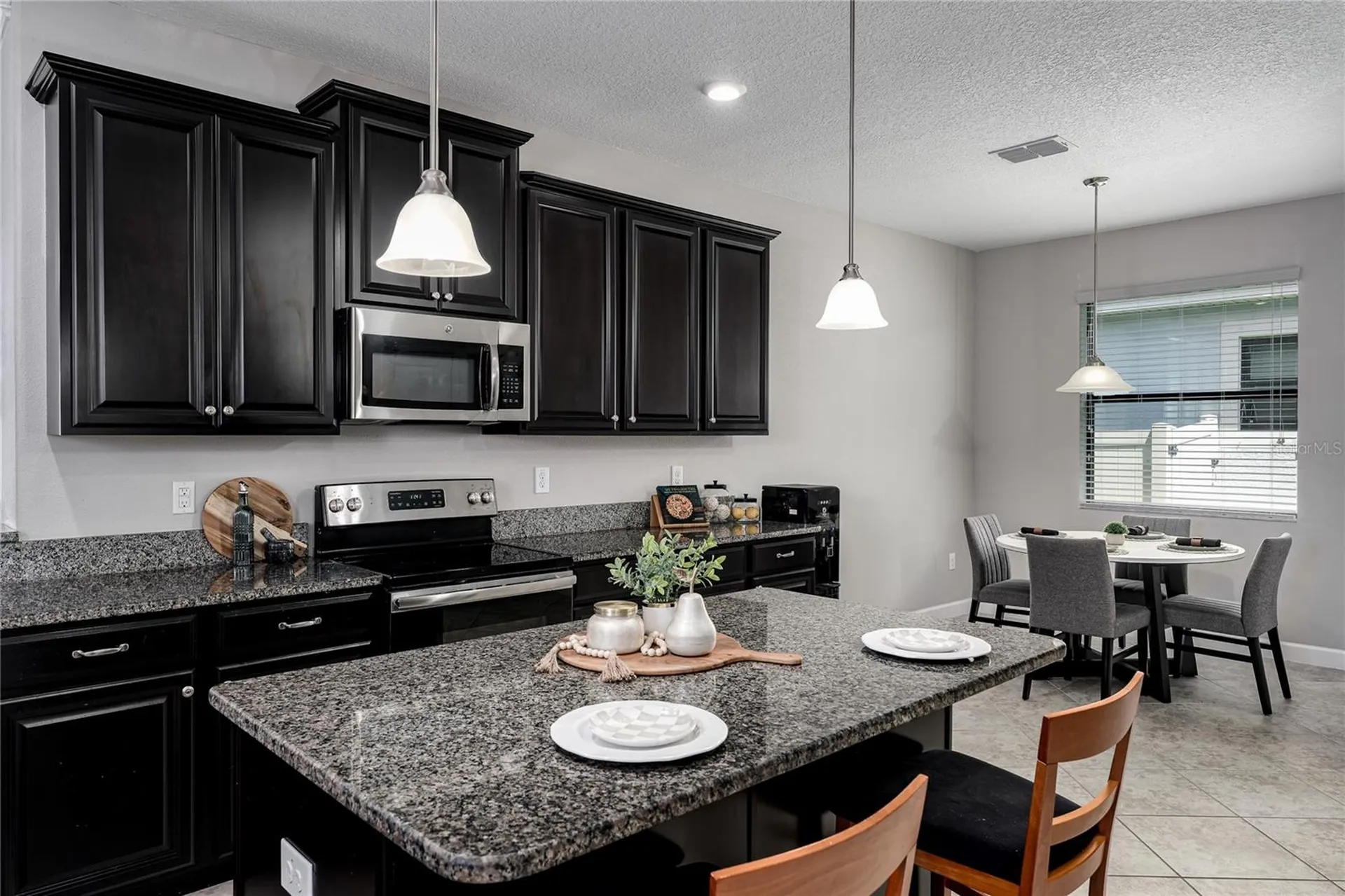 10009 Celtic Ash Drive Ruskin FL 33573