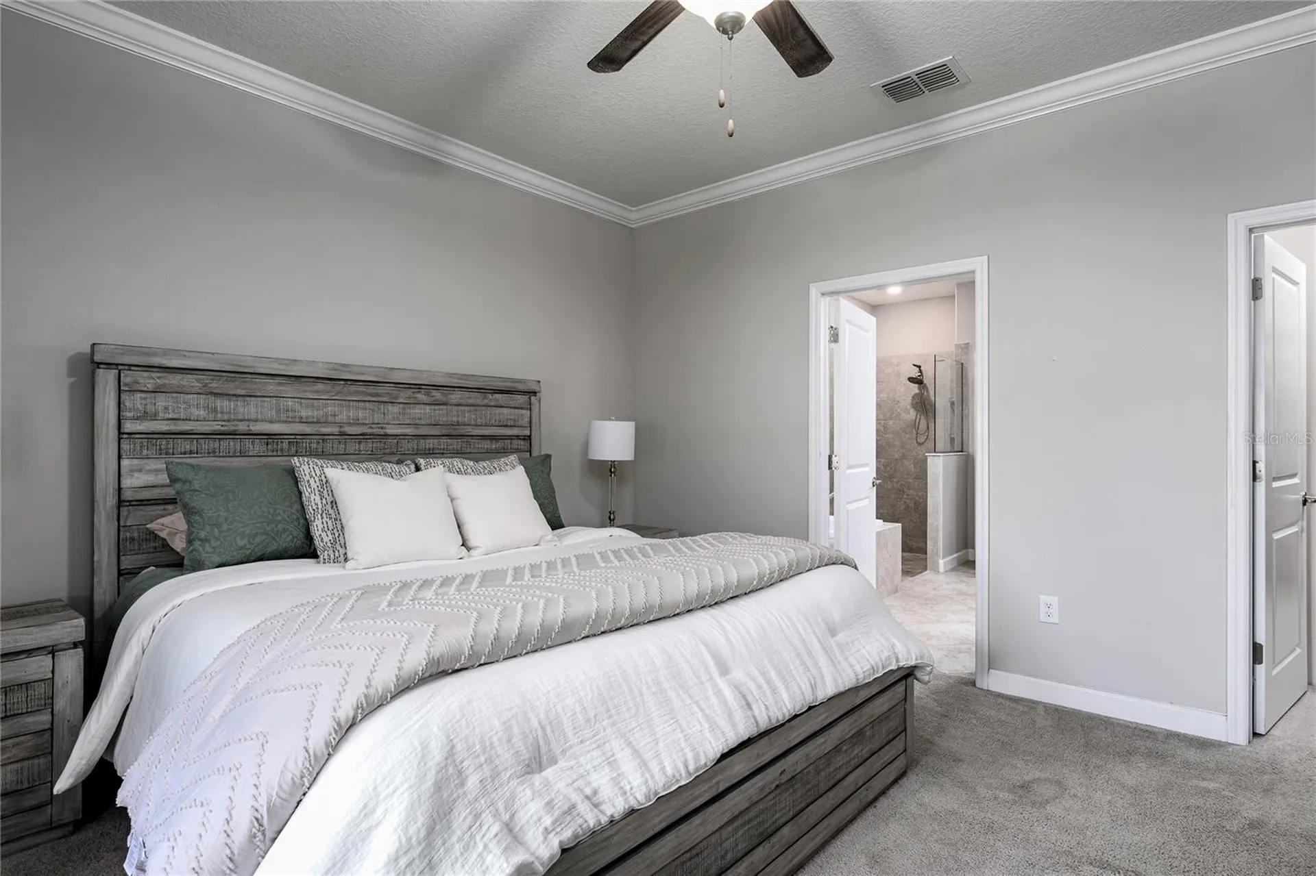 10009 Celtic Ash Drive Ruskin FL 33573