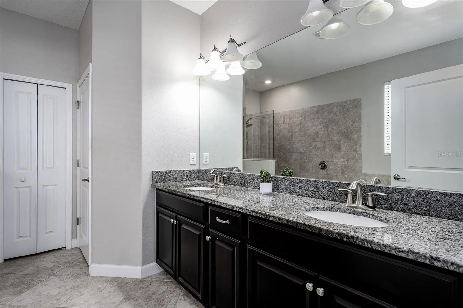 10009 Celtic Ash Drive Ruskin FL 33573