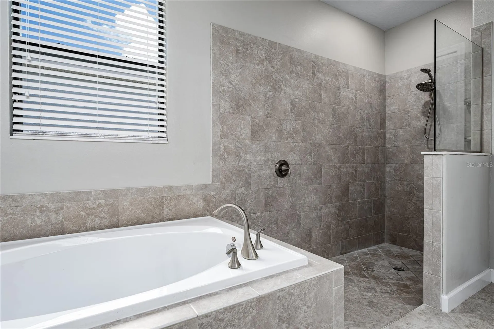 10009 Celtic Ash Drive Ruskin FL 33573