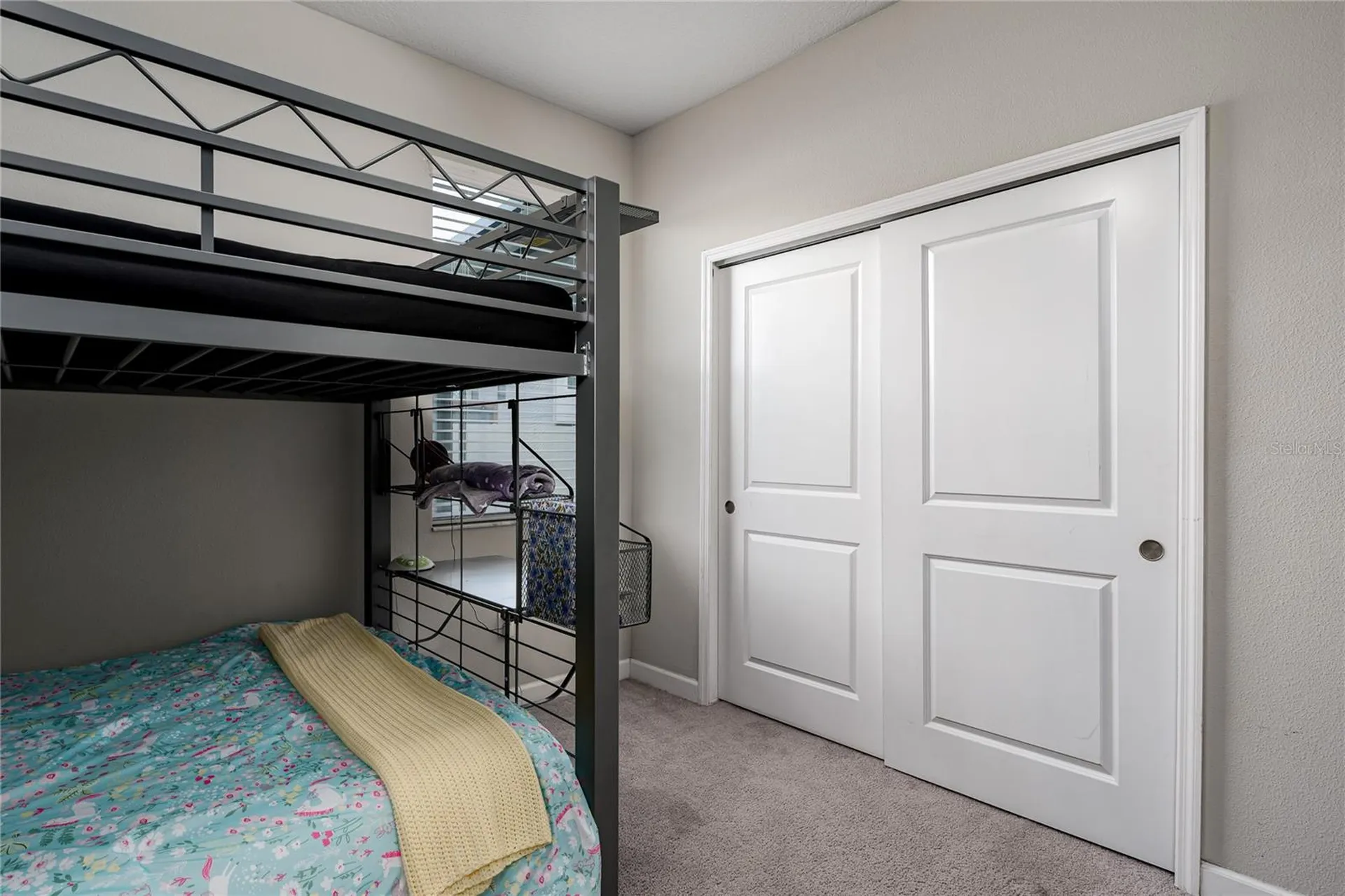 10009 Celtic Ash Drive Ruskin FL 33573