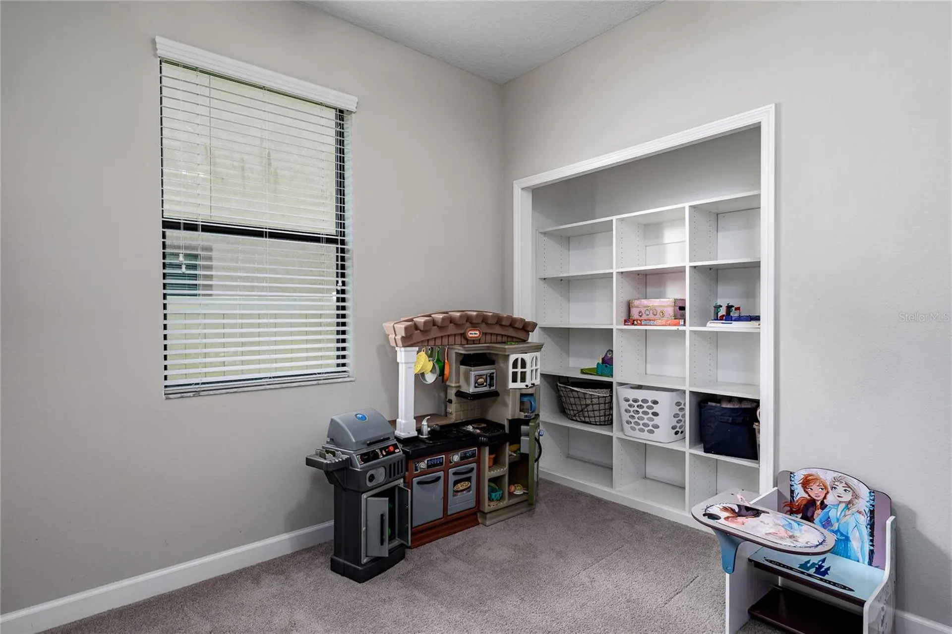 10009 Celtic Ash Drive Ruskin FL 33573