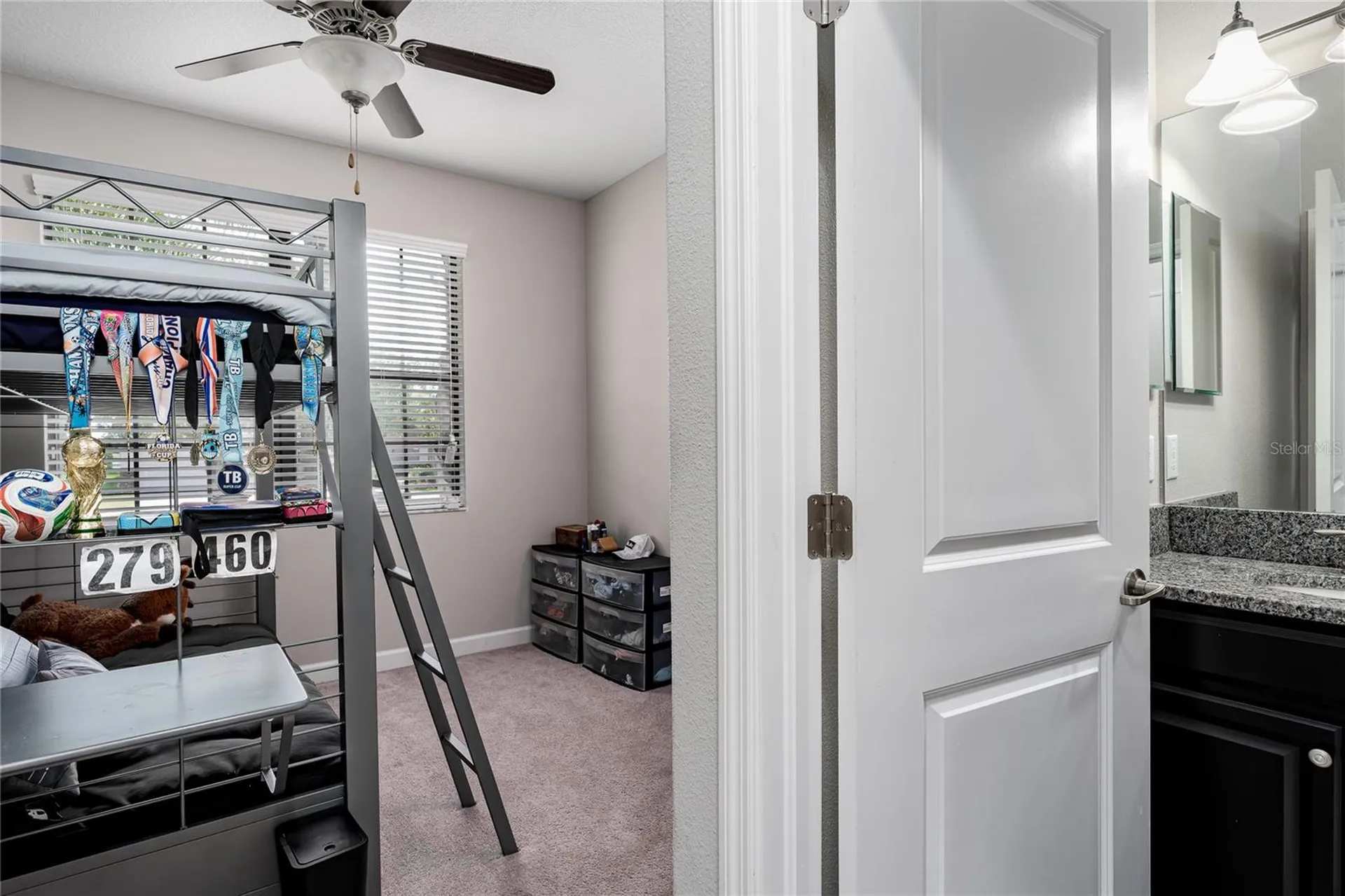 10009 Celtic Ash Drive Ruskin FL 33573