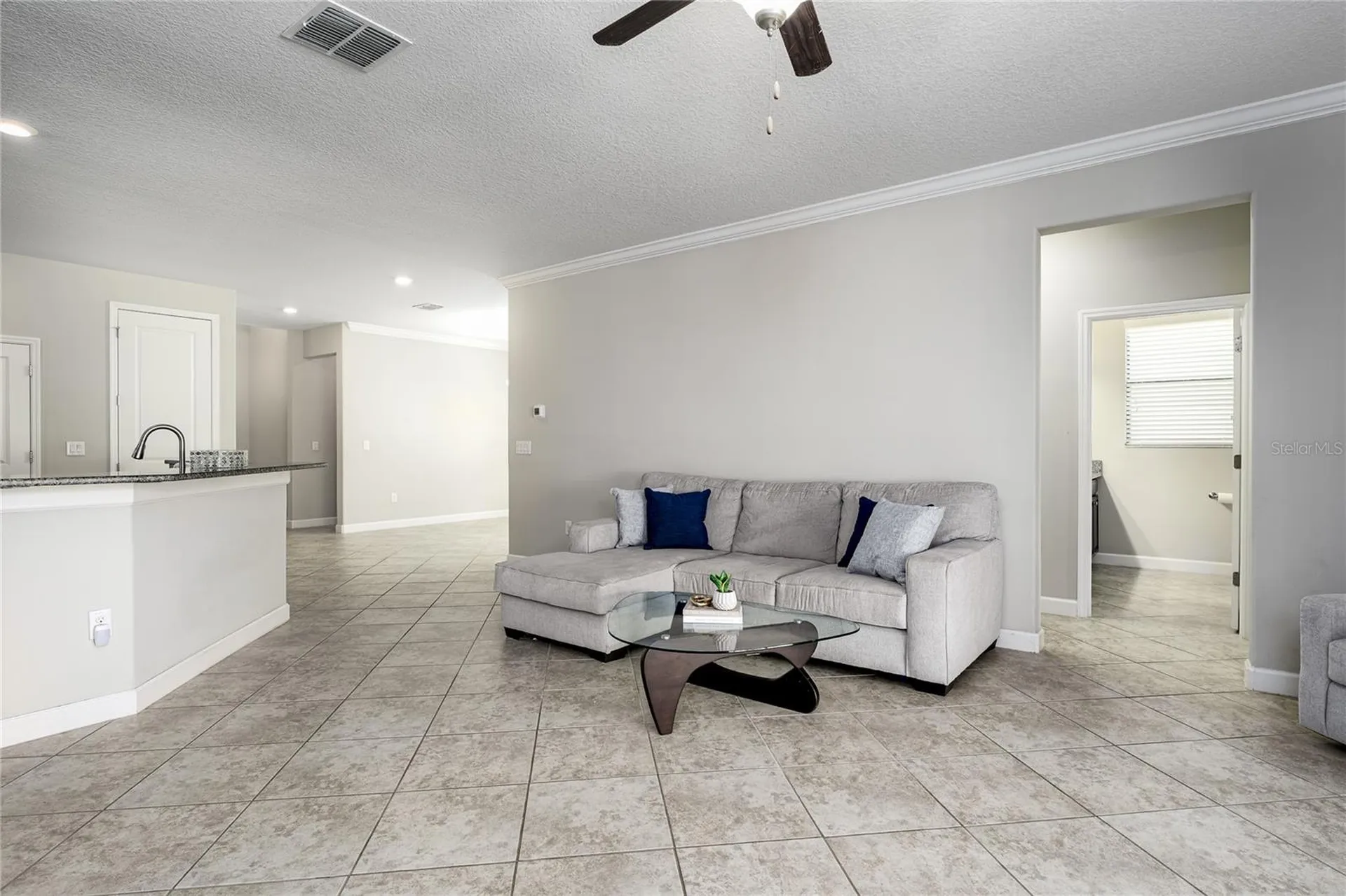 10009 Celtic Ash Drive Ruskin FL 33573