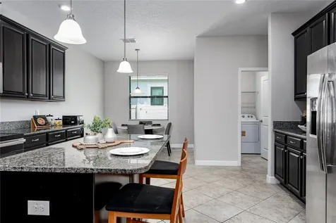 10009 Celtic Ash Drive Ruskin FL 33573