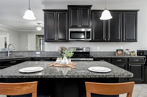 10009 Celtic Ash Drive Ruskin FL 33573
