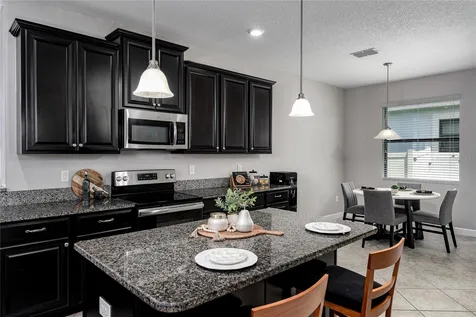 10009 Celtic Ash Drive Ruskin FL 33573