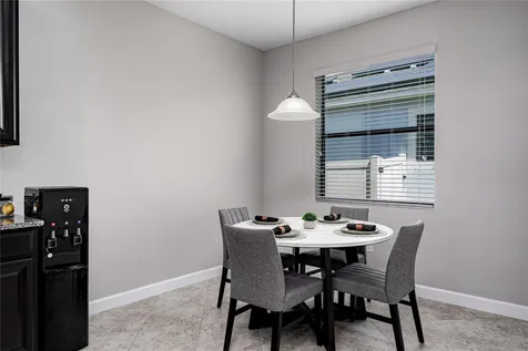 10009 Celtic Ash Drive Ruskin FL 33573