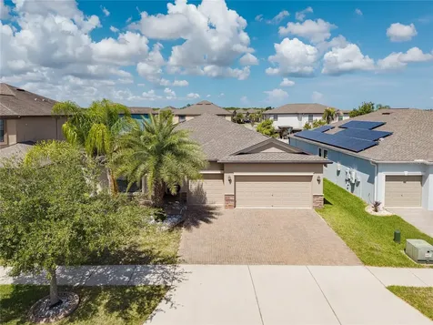 10009 Celtic Ash Drive Ruskin FL 33573