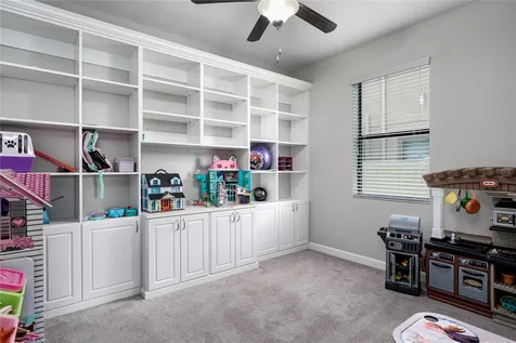 10009 Celtic Ash Drive Ruskin FL 33573