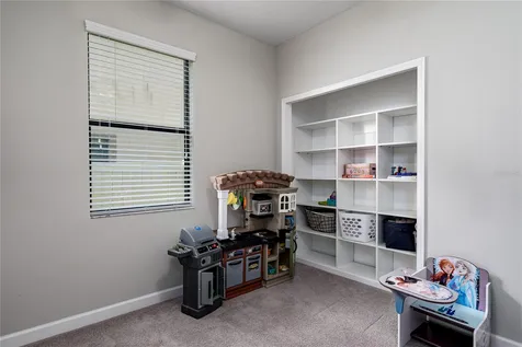 10009 Celtic Ash Drive Ruskin FL 33573