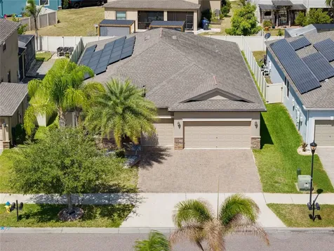 10009 Celtic Ash Drive Ruskin FL 33573