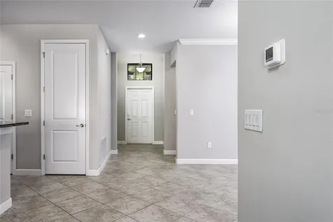 10009 Celtic Ash Drive Ruskin FL 33573