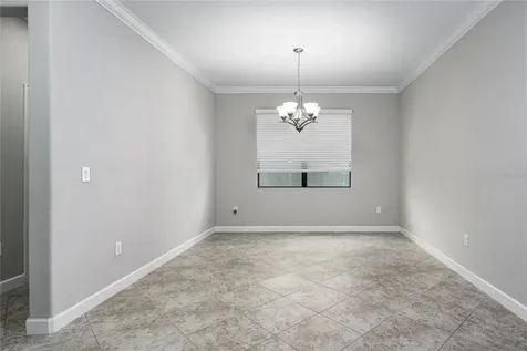 10009 Celtic Ash Drive Ruskin FL 33573