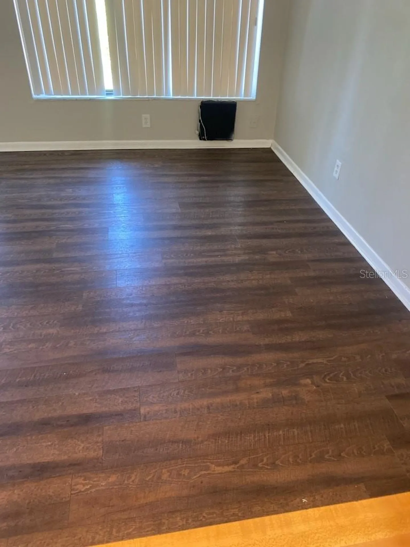 6918 Trout Street Tampa FL 33617