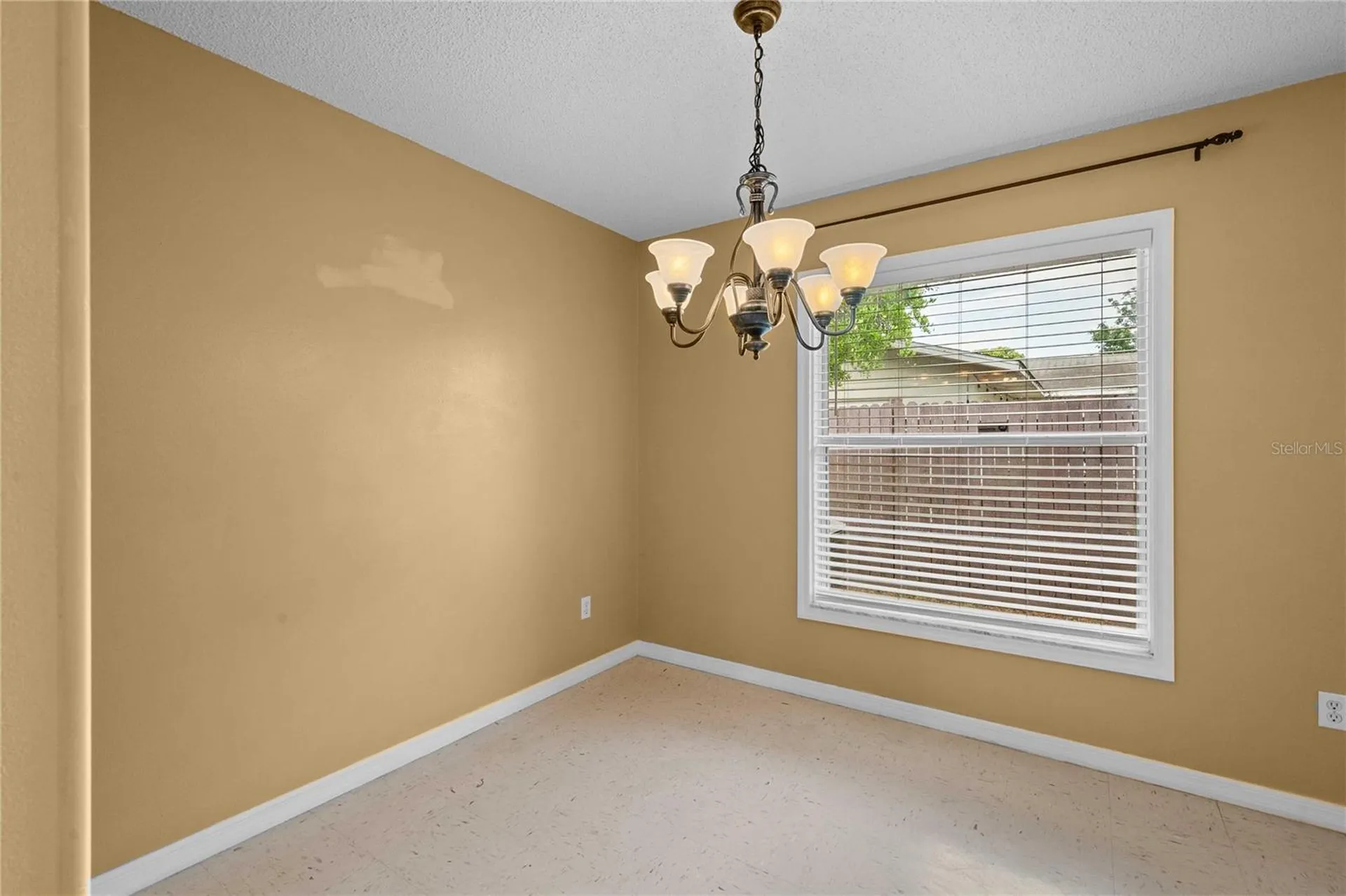 5435 Tangerine Drive Zephyrhills FL 33542