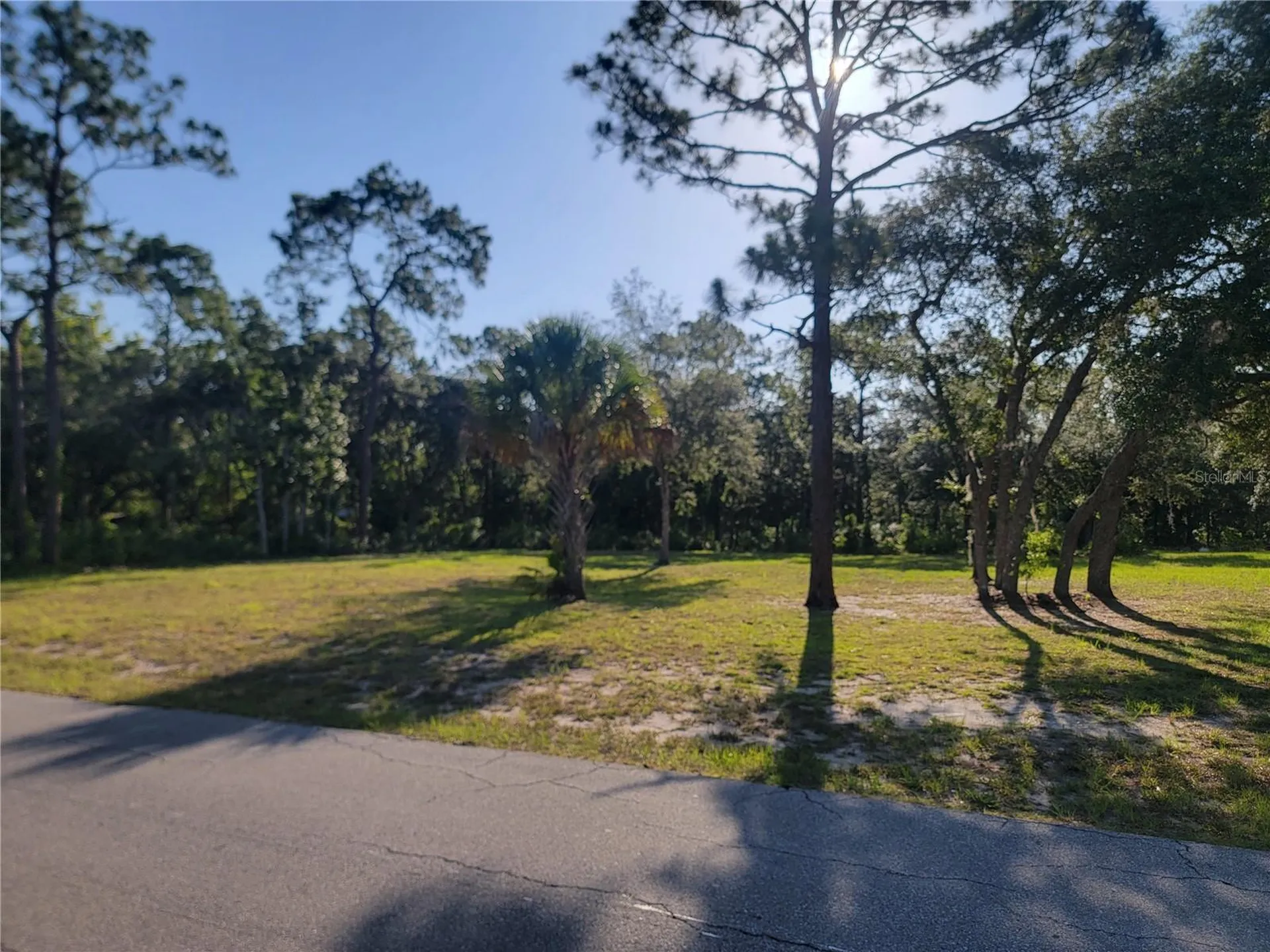 2075 S Colonial Avenue Homosassa FL 34448