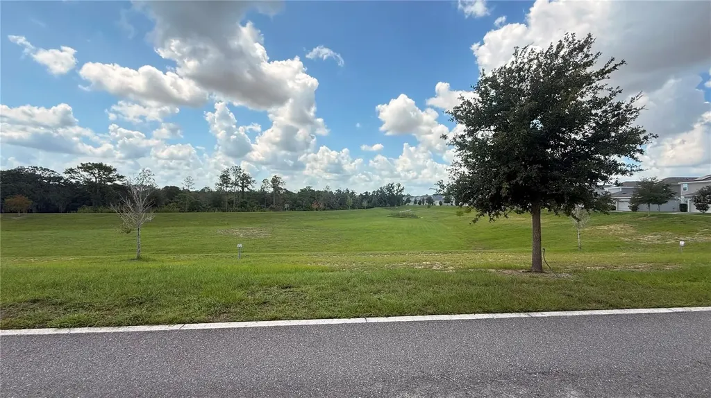 17052 Quicksilver Avenue Winter Garden FL 34787