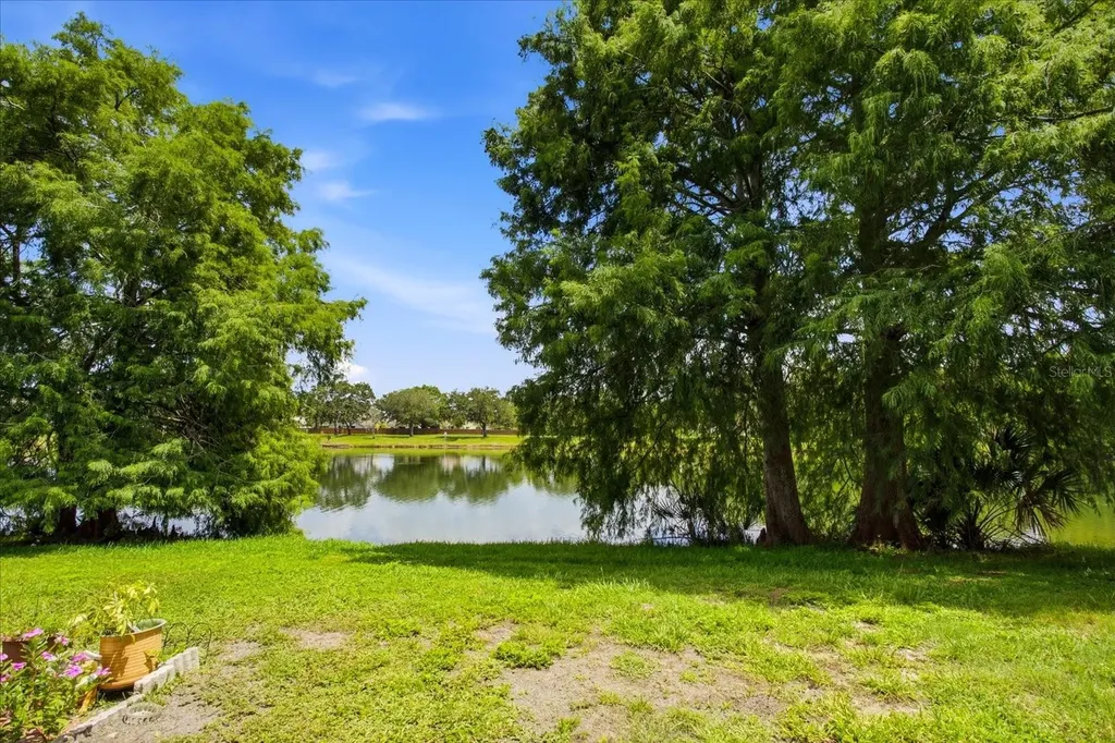 2321 Water View Loop Kissimmee FL 34743