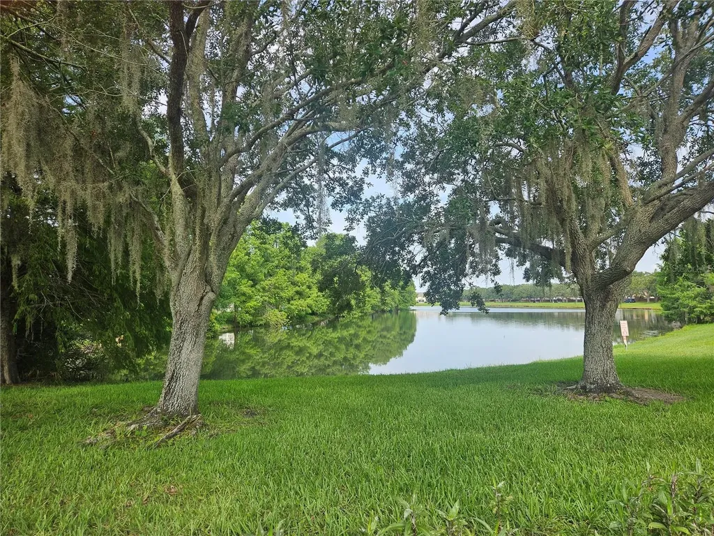 2321 Water View Loop Kissimmee FL 34743