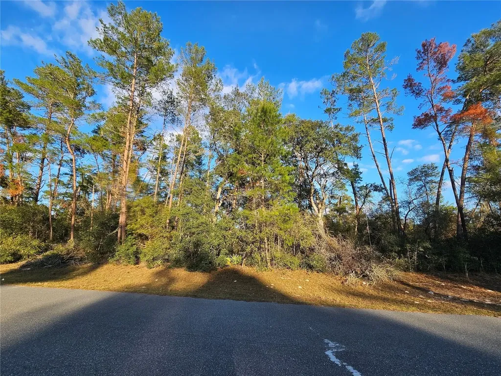 0 SW 33rd Terrace Ocala FL 34473