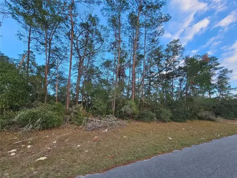 0 SW 33rd Terrace Ocala FL 34473