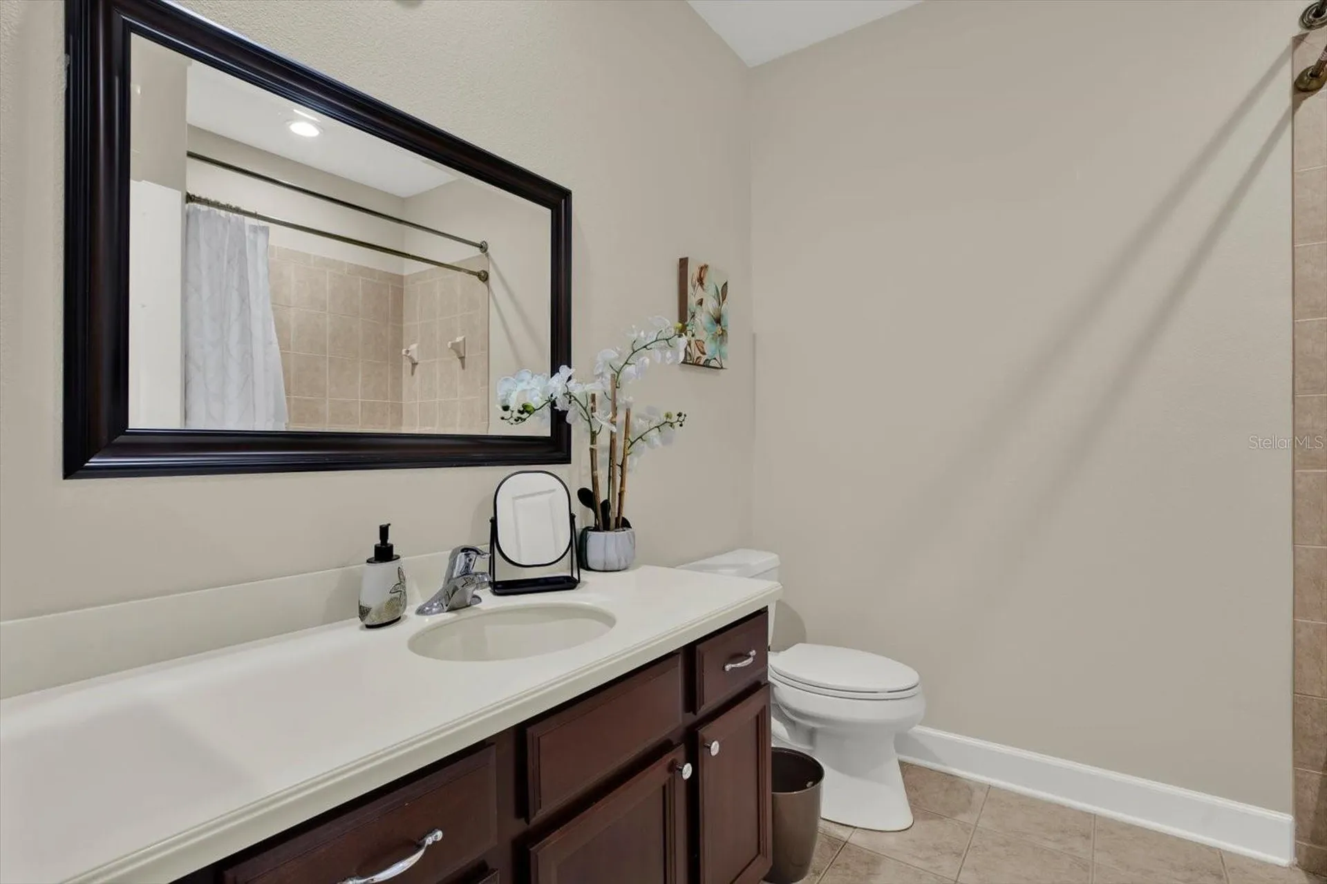 9137 Creedmoor Lane New Port Richey FL 34654